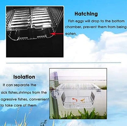 capetsma Fish Breeding Box, Acrylic Fish Isolation Box with Suction Cups, Aquarium Acclimation Hatchery Incubator for Baby Fishes Shrimp Clownfish and Guppy... Small Size (S)