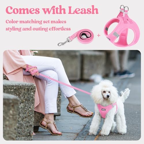 rabbitgoo Dog Harness Medium Sized and Leash Set, Step-in Puppy Pet Vest