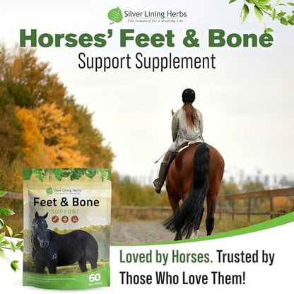 Silver Lining Herbs Feet & Bone Horse Hoof Supplements, Tendons