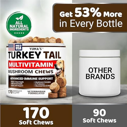 Turkey Tail Mushroom for Dogs - 170 Count - Mushroom Chews for Dogs