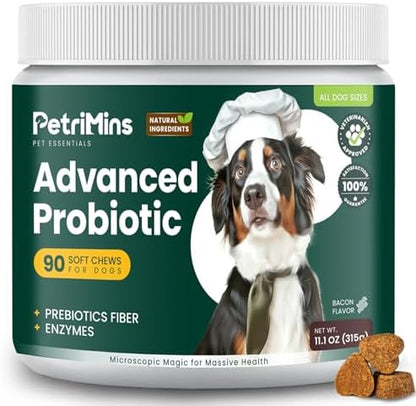 Advanced Probiotic for Dogs, Supports Digestive Health, Immune Health, Gut Health, Improves Nutrient Absorption - Six Strains of Probiotics - Inulin - Enzyme Blend, 90-Count, Bacon