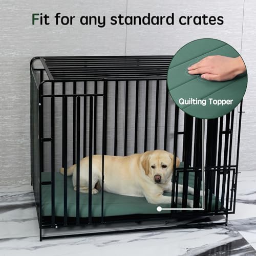 BALANCE Dog Crate Bed, Orthopedic Dog Bed Pad with Waterproof Liner, Washable Crate Foam Pet Mat for Large, Medium, Puppy Dogs Breeds, Mint Leaf, 30"x19"x1.6"