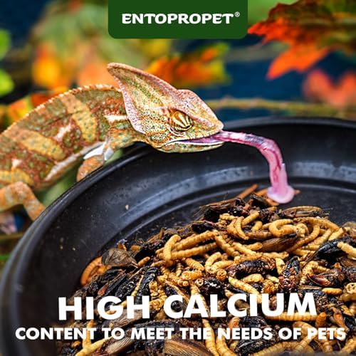 Dried Mealworms & Crickets Medley Treat for Bearded Dragons 5oz