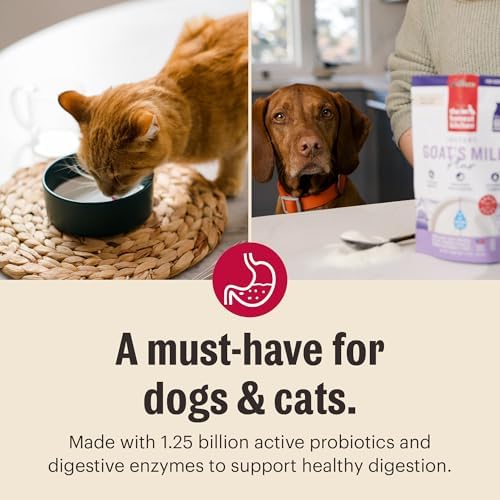 The Honest Kitchen Instant Goat’s Milk with Probiotics for Dogs and Cats, Human Grade Powder Drink Mix, Digestive Health Support, Food Topper or Treat, Just Add Water, 5.2 oz Pouch Makes 60 oz
