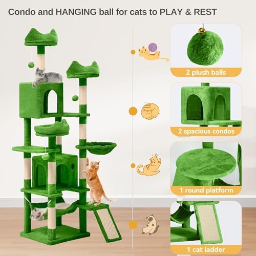 DWVO 75 in Multi‑Level Cat Tower
