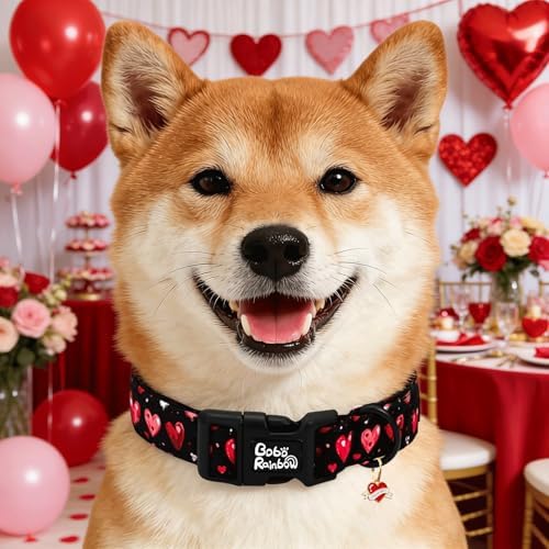 Valentine's Black Base Red Heart Dog Collar for Medium Dogs