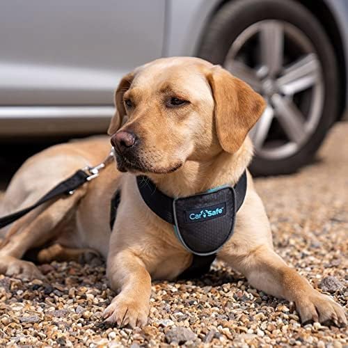 CarSafe Dog Travel Harness Black Large