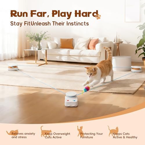 Interactive Cat Toy for Indoor Cat,Automatic Treadmill for Exercise