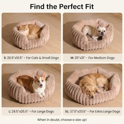 Donut Dog Bed, Cat Bed Kitten Bed, Washable Round Cat Beds for Indoor Cats, Soft Thickened Kitten Beds for Indoor Kittens, Anti-Anxiety Calming Pet Bed with Non-Slip Bottom (Small)