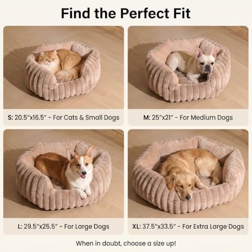 Donut Dog Bed, Cat Bed Kitten Bed, Washable Round Cat Beds for Indoor Cats, Soft Thickened Kitten Beds for Indoor Kittens, Anti-Anxiety Calming Pet Bed with Non-Slip Bottom(Small)