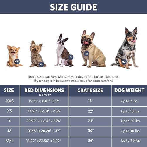 MidWest Homes for Pets QuietTime Fashion XXS Dog Bed – Blue Faux Fur Bolster, Ultra-Soft and Machine Washable, Fits 18-Inch Crates and Carriers, for Small Dogs and Cats (Pack of 2)