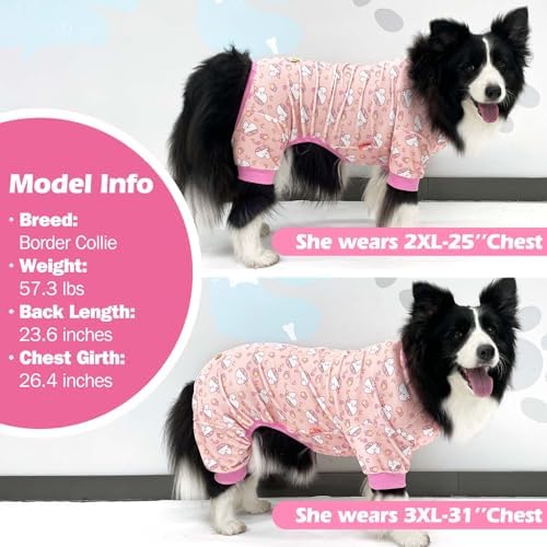 KYEESE Velvet Dog Pajamas for Large Dogs Onesie for Daily Wear, Dinosaur
