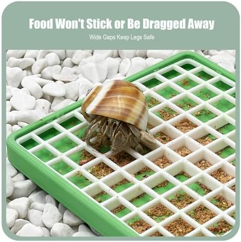 Hermit Crab Food Dish for Powdered Food, with Removable Anti-Carry Grid, No Mess Feeding Dish Prevents Food from Being Dragged Away (Dark Green, 3.9" x 3.9")