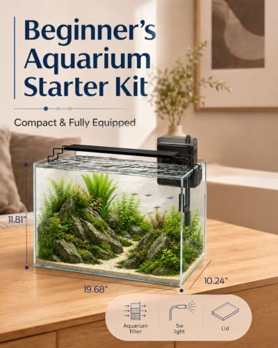 10 Gallon Glass Aquarium Kit, Rimless Fish Tank with LED & Filter, Clear