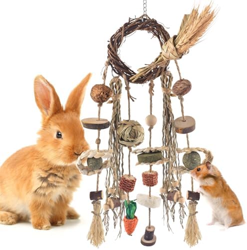 Bissap Bunny Chew Toy, Rabbit Cage Hanging Chewing Toy Treat Christmas Grapevine Wreaths Rattan Ring with Snack Water Grass for Guinea Pig Chinchilla Hamster Rat and Other Small Pet Teeth Grinding