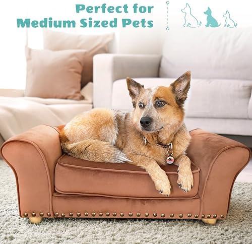 Critter Sitters 34-in. Faux Velvet Sofa in Brown for Medium-Sized Dogs and Cats, Durable and Stylish Dog Bed for Bedroom and Living Room