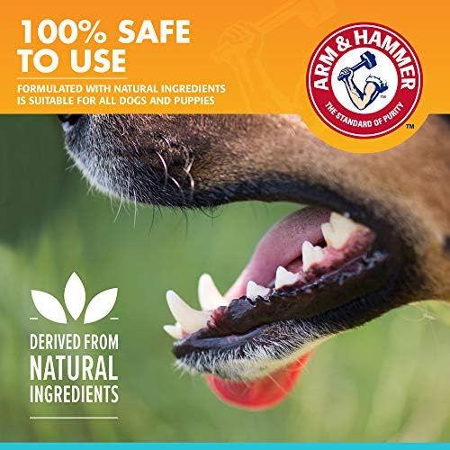 Arm & Hammer Fresh Breath Enzymatic Dog Toothpaste, 2.5 Oz, 72-Pack