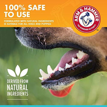 Arm & Hammer Fresh Breath Enzymatic Dog Toothpaste, 2.5 Oz, 72-Pack