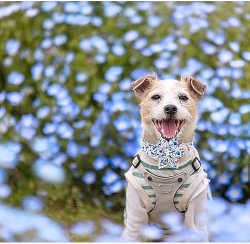 Dog Collar-Flower Print Adjustable Cute Pet Collar Soft Blue Floral Dog Collars with Flower Durable Cotton Metal Buckle Puppy Collar Gift for Large Dogs