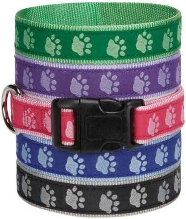 Casual Canine TwoTone Pawprint Dog Collar, 10-16-Inch, Black