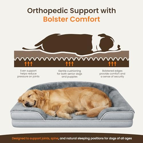 Orthopedic Dog Bed for Small to Medium Dogs, 30"x20" Dog Couch Bed