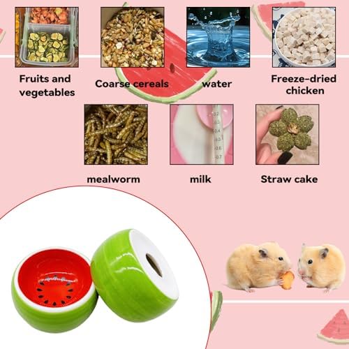 Hamiledyi Hamster Bowl 2 Pack Ceramic Gerbil Food Dish Feeding Bowls for Dwarf Syrian Hamsters Mice Rats Mouse Sugar Glider
