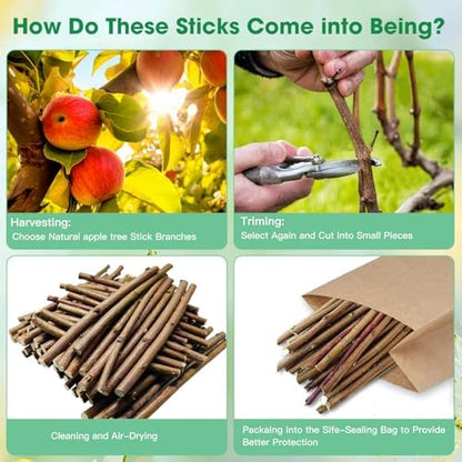 Jorewood 250g Natural Apple Wood Chew Sticks for Rabbits, Hamsters, Chinchillas - Extra Hard Teeth Grinding Toy | Untreated, Safe & Long-Lasting Rodent Chews