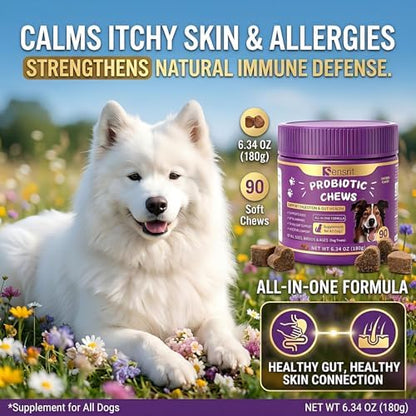 Probiotics for Dogs - 800M CFU Dog Probiotic Chews with Digestive Enzymes & Pumpkin | Seasonal Allergy, Itchy Skin & Immune Support for All Breeds - 90 Soft Chews, Chicken Flavor