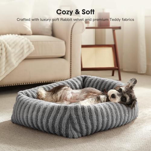 MIXJOY Dog Beds for Small Dogs Cats, Soft Cat Bed for Indoor Cats, Rectangle Pet Bed for Puppy Kitty, Washable Dog Bed with Removable Cover, Anti Slip Bottom, 20"x19"x6", Grey