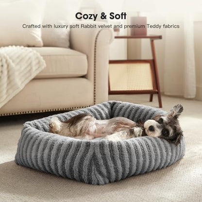 MIXJOY Dog Beds for Small Dogs Cats, Soft Cat Bed for Indoor Cats, Rectangle Pet Bed for Puppy Kitty, Washable Dog Bed with Removable Cover, Anti Slip Bottom, 20"x19"x6", Grey