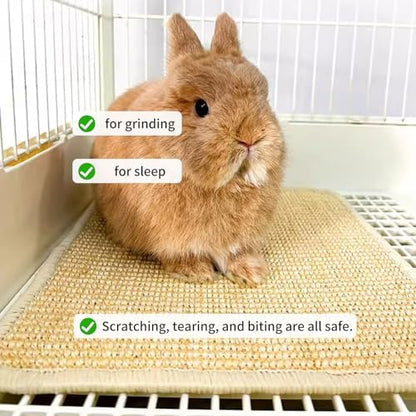 2PCS Rabbit Scratch Mat, Natural Bunny Pad Claws and Teeth Care, 16x12
