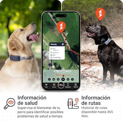 4G Dog GPS Tracker with Real-Time Location, Runaway Alerts, Activity Monitoring App, Waterproof Design & Rechargeable LED Dog Collar with 7 Color Modes, 27-Month Subscription Included – Black Bundle