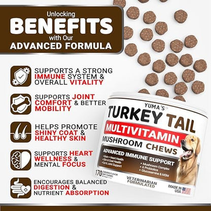Turkey Tail Mushroom for Dogs - 170 Count - Mushroom Chews for Dogs