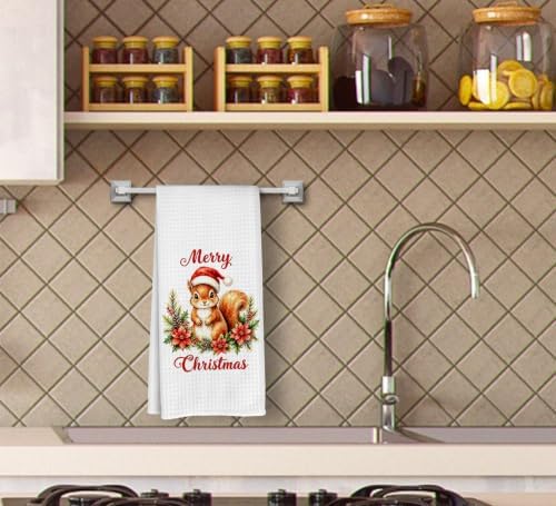 Merry Christmas Squirrel Kitchen Dish Towels Dishcloth 16x24 Inches