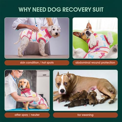 Kuoser Dog Recovery Suit, Female Male Spay Neuter Surgery Suit, Llama, M