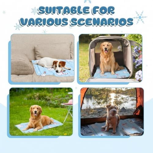 Nuanchu Pet Cooling Mat, Rainbow Bear, 23.62 x 35.43 Inches, 1 Pcs