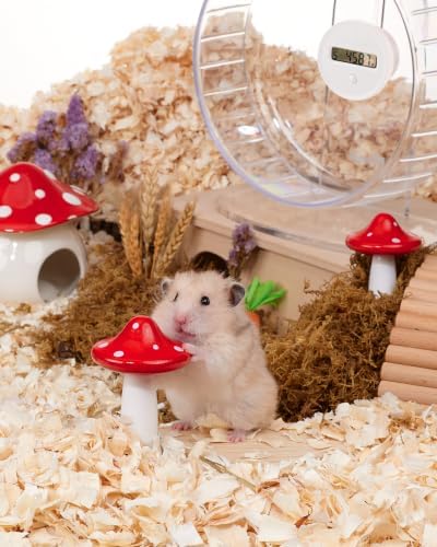 Niteangel Hamster Chew & Decor Toys: Pack of 2 Mushroom-Shape & Beech Wood