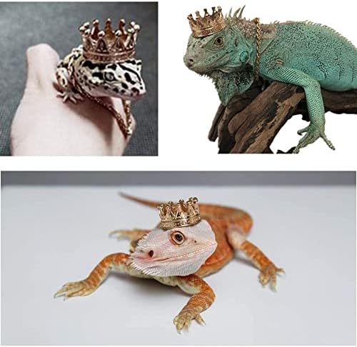 2Pcs Lizard Crown Necklace Set Metal Lizard Outfit Reptile Clothes Accessories Lizard Photo Props for Bearded Dragons Iguana Amphibians and Other Small Animals (Gold)