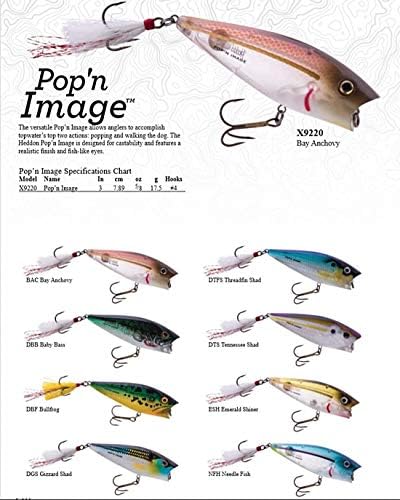 Heddon Pop'N Image Topwater Fishing Lure - Excellent Popping and Walk-The-Dog Action