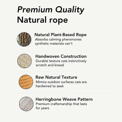 Instinct Basket | Meet The First Research-Backed Natural Territory for Indoor Cats (Brown,M)