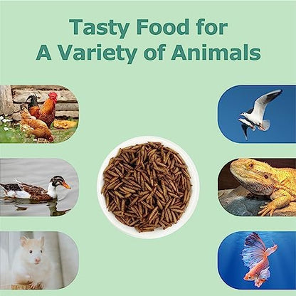 WORMSKING 10LB Dried Black Soldier Fly Larvae, More Calcium Than Dried Mealworms, High Protein Chicken Feed, Poultry Treat