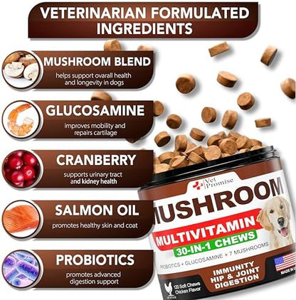 (2 Pack) Turkey Tail Mushroom for Dogs - 340 Chews - Mushroom for Dogs