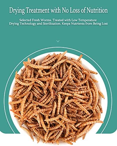 Reptile Food Dried Mealworms Pet Worms Food for Bearded Dragon, Lizard, Turtles, Chameleon, Monitor, Frog, Sugar Glider, Chickens, Birds, Hamsters and Hedgehogs (3.5 OZ)