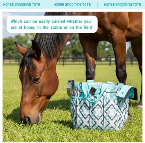Abbylike 12 Piece Horse Grooming Kit with Organizer Tote Bag Brush Sets for Derby Day Show Horses Professional Tools for Care & Massage(Mint Green and Grey)