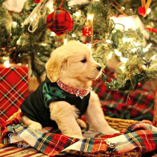 Christmas Dog Collar for Small Dogs - Design Cute Winter Holiday Collars Adjustable Red Christmas Pet Metal Buckle Collar for Puppy Girl Boy Female Dogs S