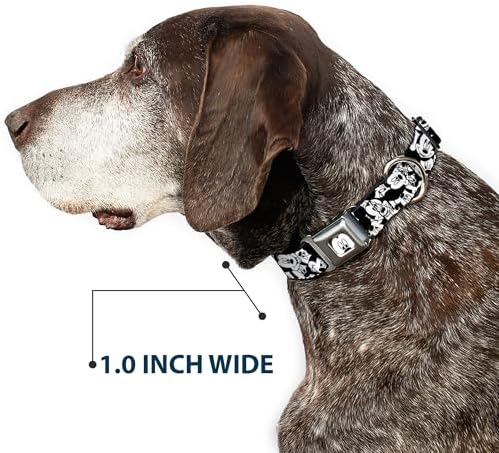 Buckle-Down Seatbelt Buckle Dog Collar - Olaf/Snowflakes Stitch Blues/White - 1" Wide - Fits 15-26" Neck - Large