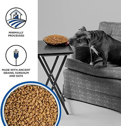 BIXBI Liberty Ancient Grains Dry Dog Food, Game Bird Feast Recipe – Fresh Meat, High Protein, Wholesome Grains – USA Made, 4 lbs