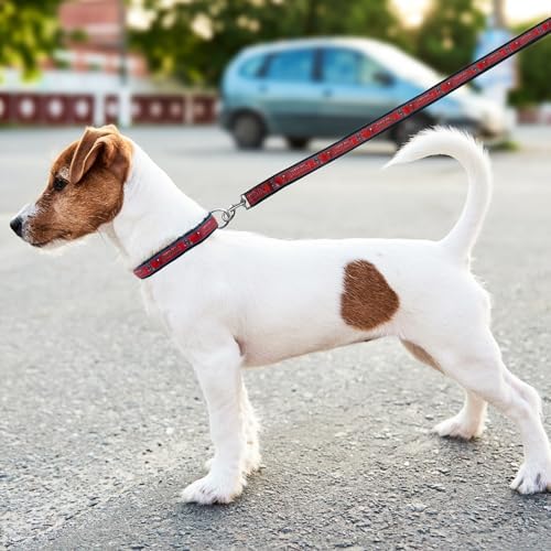 Pets First NFL Tampa Bay Buccaneers Licensed PET COLLAR, Extra Large - Heavy-Duty, Strong, and Durable Dog Collar. Available in 31 Football Teams and 4 Sizes