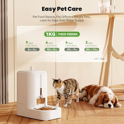 JUNSPOW Automatic Cat Food Dispenser with Stainless Steel Bowl