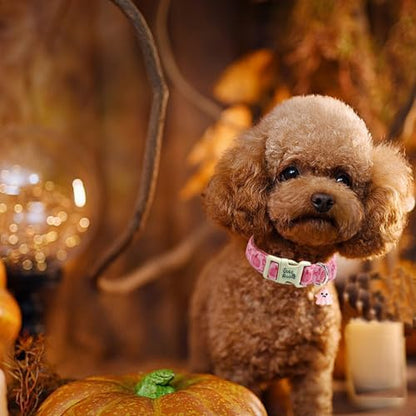 Fall Pink Pumpkin Print Dog Collar Adjustable for X-Small Dogs